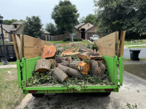 Box Tree Care Emphasizes Importance of Professional Tree Pruning Services for Property Safety